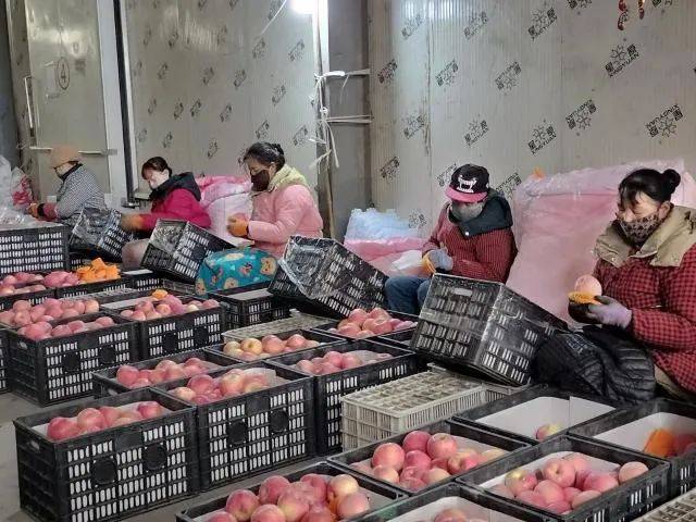 苹果冷库图片1.jpeg