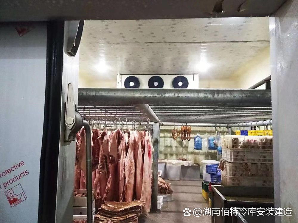 肉冷库5.jpeg