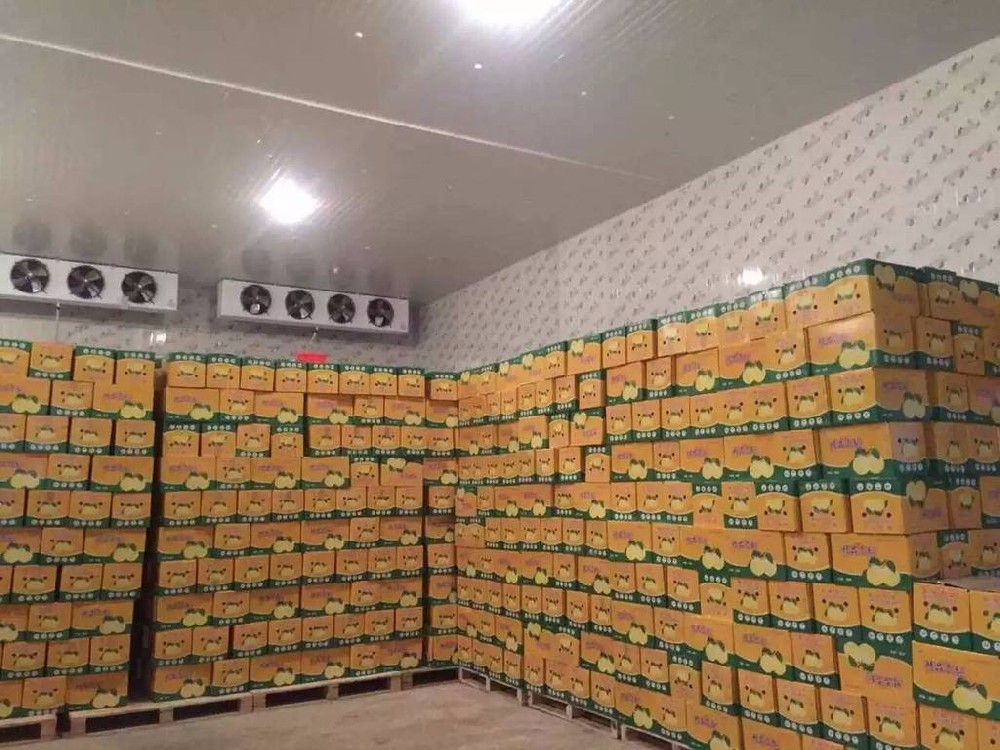 冷库建造行业靠谱的冷库建造工司