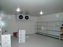 2017010447804861.jpg